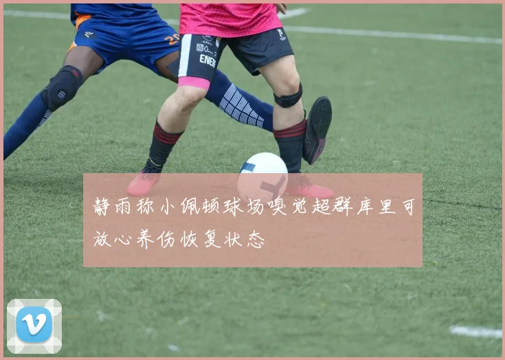 静雨称小佩顿球场嗅觉超群库里可放心养伤恢复状态
